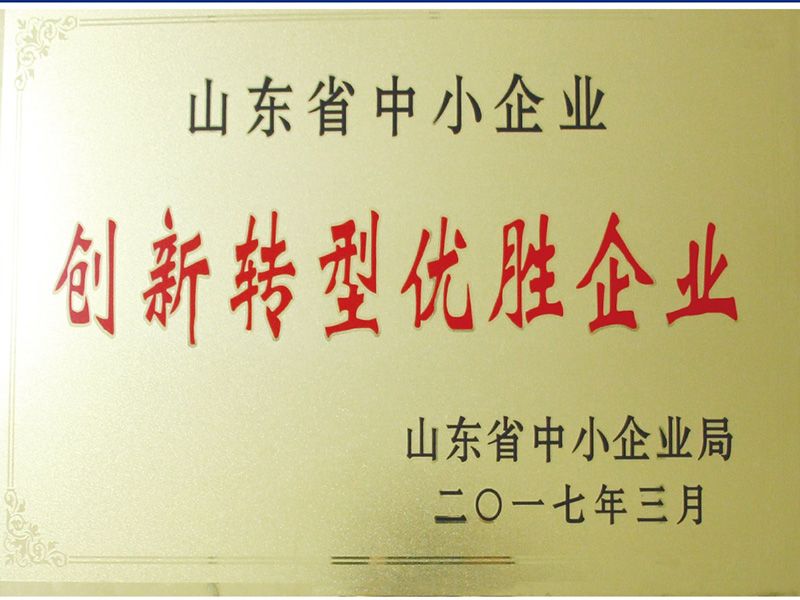 創新轉型優(yōu)勝企業